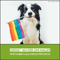 Photo: LGBTIQ@MLU info page
[Image description: In front of a white background sits a dog of the breed Border 
Collie, which has a Pride flag in its mouth and looks friendly into the camera. At the 
bottom of the image is a green bar that says in white lettering, "LBTIQ* At the 
University of Halle? We have all the info for you!"